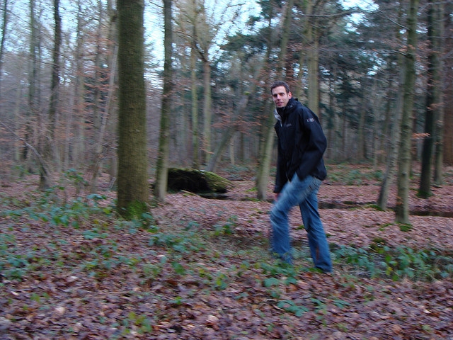 jornada de senderismo en el bosque